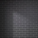 BORGO 2.6"x7.9" Matte Porcelain Floor and Wall Tile Subway Tile