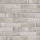 BRISTOL 2.95"x11" Matte Porcelain Floor and Wall Tile Subway Tile