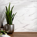 ELEGANCE 3.15"x12.99" Matte Porcelain Floor and Wall Tile - White