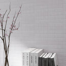 GLOBE 2.96"x11.82" Matt Ceramic Wall Tile Subway Tile