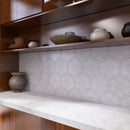 RADIANT 8"x10" Porcelain Hexagon Floor and Wall Tile Matt
