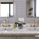 ZARATI 2.95"x11.81" Polished Ceramic Wall Tile - Light Gray