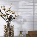 ZARATI 2.95"x11.81" Polished Ceramic Wall Tile - White