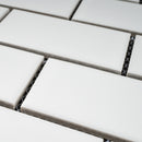 BT-PM16  2 X 4 White Porcelain Satin Mosaic Tile