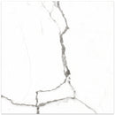 NATURAL+  Satuario Polished/Matte Porcelain Tile 12"x24",24"x24" Wall & Floor