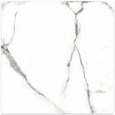 NATURAL+  Satuario Polished/Matte Porcelain Tile 12"x24",24"x24" Wall & Floor