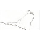 NATURAL+  Satuario Polished/Matte Porcelain Tile 12"x24",24"x24" Wall & Floor