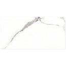 NATURAL+  Satuario Polished/Matte Porcelain Tile 12"x24",24"x24" Wall & Floor