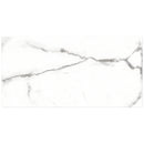 NATURAL+  Satuario Polished/Matte Porcelain Tile 12"x24",24"x24" Wall & Floor