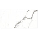 NATURAL+  Satuario Polished/Matte Porcelain Tile 12"x24",24"x24" Wall & Floor