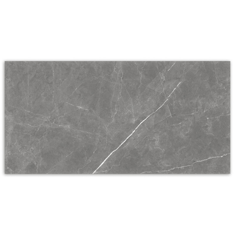 NATURAL+  Lava Grey Polished Porcelain Tile 12"x24",24"x24" Wall & Floor