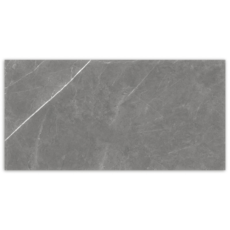 NATURAL+  Lava Grey Polished Porcelain Tile 12"x24",24"x24" Wall & Floor