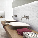 FN-01  Holy Trail - White Carrara With White Glass Mosaic Tile