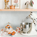 JAPM101  Reactive Glazed Polished Porcelain Penny Round Mosaic Tile