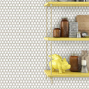 JAPM101  Reactive Glazed Polished Porcelain Penny Round Mosaic Tile