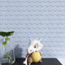 JAPM203 Reactive Glazed Polished Porcelain Tiny Hexagon Mosaic Tile