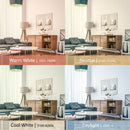 PL0004  3-Light Dimmable LED Pendant Light