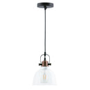 PL0005  1-Light Dimmable LED Pendant Light