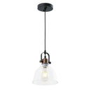 PL0005  1-Light Dimmable LED Pendant Light