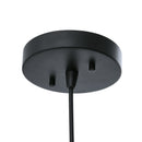 PL0005  1-Light Dimmable LED Pendant Light