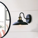 WL0009  1-Light Dimmable LED Vanity Light