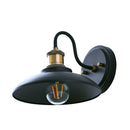 WL0009  1-Light Dimmable LED Vanity Light