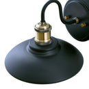 WL0009  1-Light Dimmable LED Vanity Light